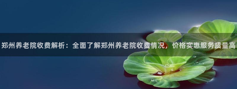 韦德1946游戏