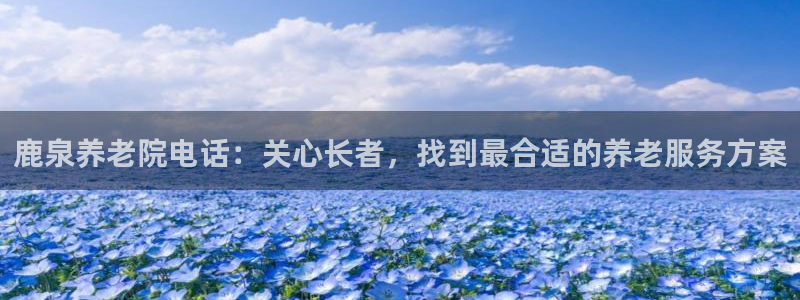 韦德网站官网