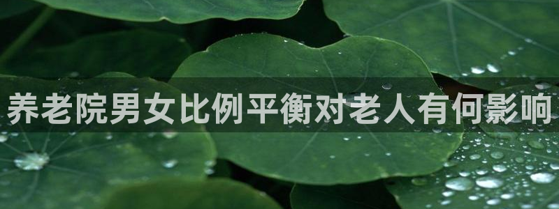韦德下载