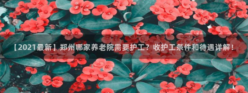 韦德app手机下载