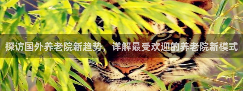 韦德游戏注册需要什么