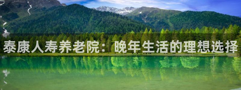 韦德新品