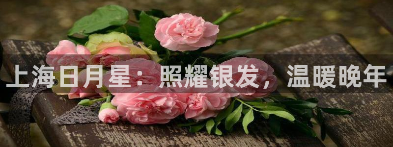 韦德游戏注册需要什么