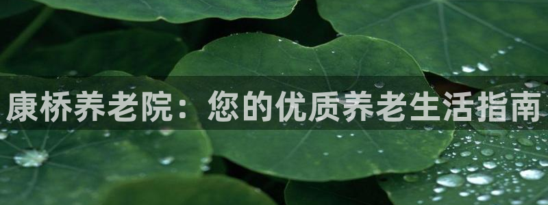 韦德国际1946官网