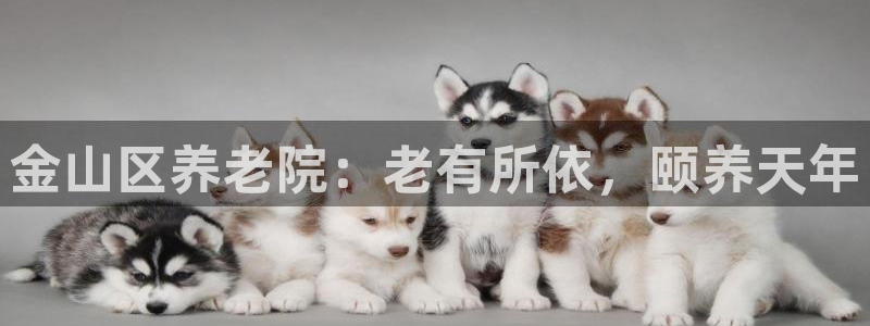 1946韦德官方网站