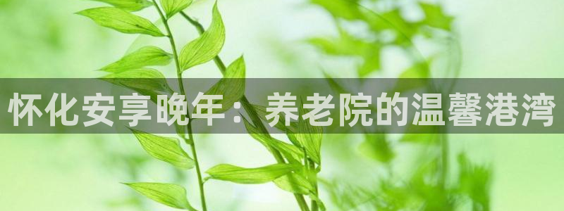 韦德1946