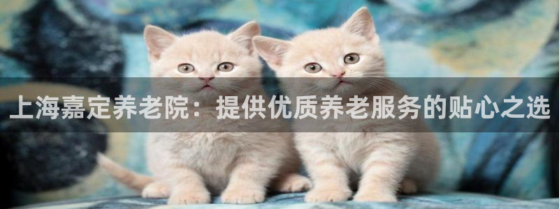 韦德游戏注册是搞什么的