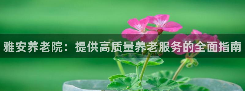 韦德国际体育