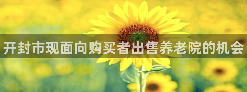 韦德新品