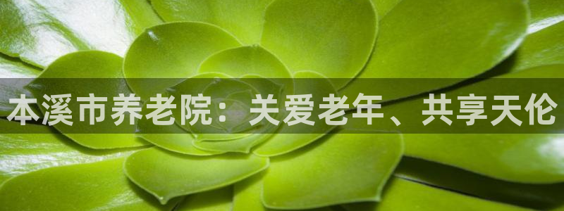 韦德网址