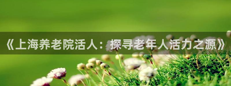 韦德官网在线