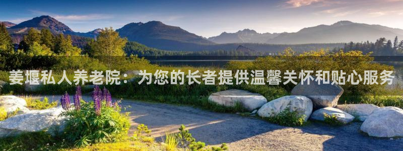 韦德下载