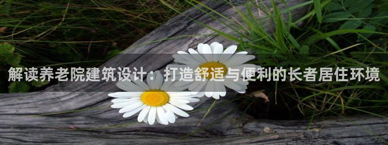 韦德游戏网址