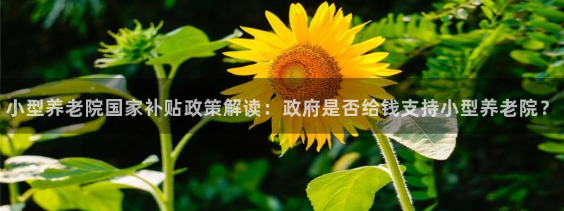 韦德国际体育