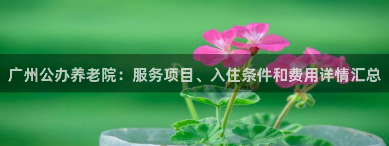 韦德1946bet