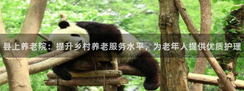 韦德国际体育