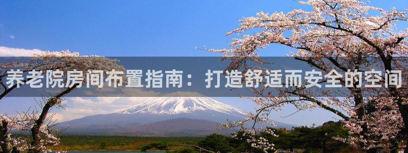 韦德网站官网