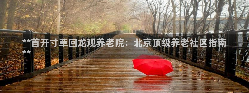 韦德新品