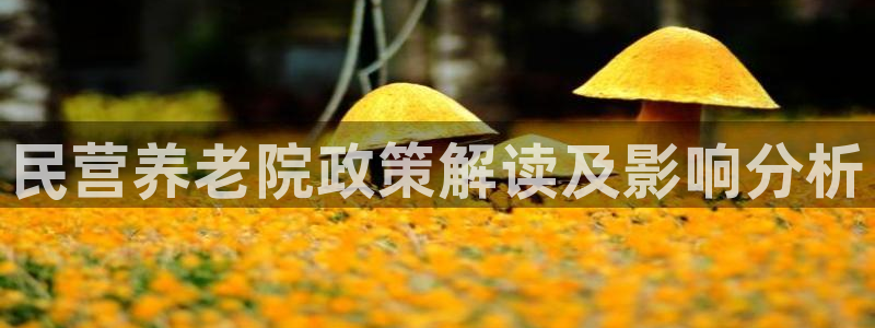 韦德1946备用网站