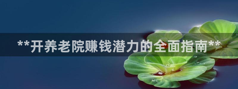 韦德 网址