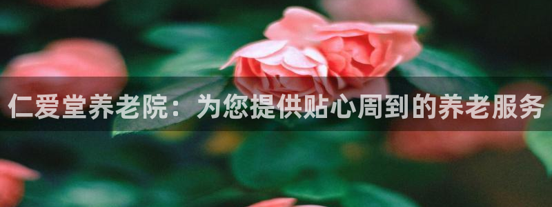 韦德1946最新网站