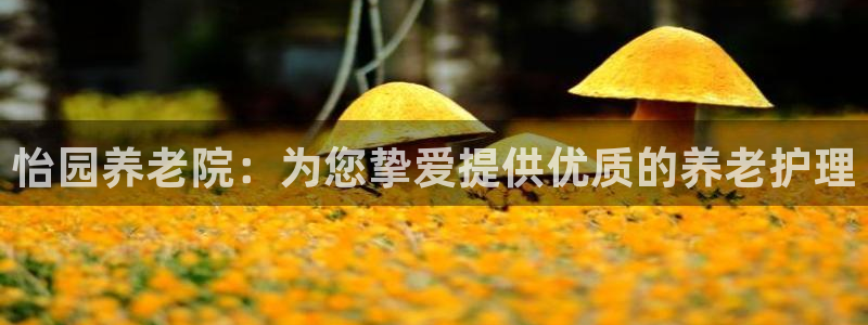 韦德1946国际娱乐