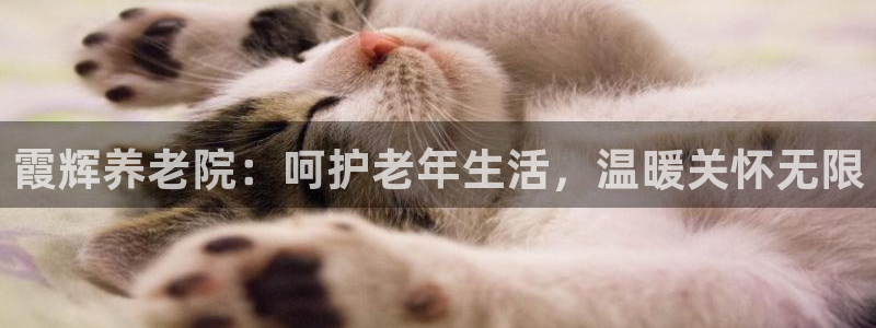 1946韦德游戏