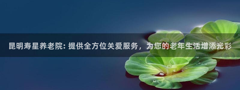 韦德下载